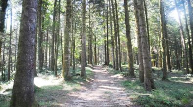 Serra, promossa dalla Pro Loco una passeggiata nella natura lungo il lago Lacina