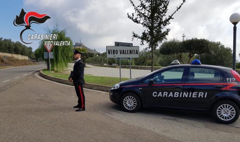 Controlli dei carabinieri nel Vibonese, sequestri e denunce