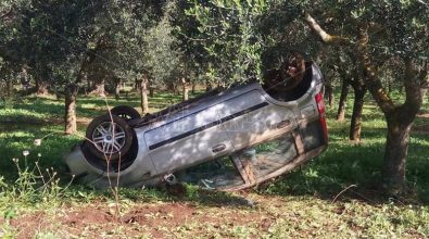 Ionadi, auto esce di strada ribaltandosi in un uliveto: ferite madre e figlia