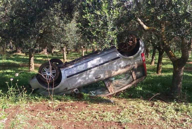 Ionadi, auto esce di strada ribaltandosi in un uliveto: ferite madre e figlia