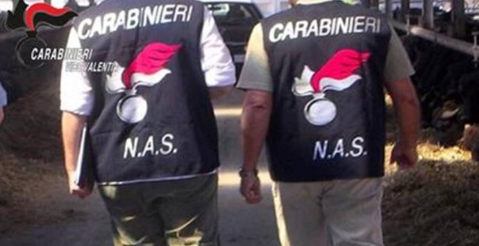Sanzioni e sequestri in un’azienda agricola di Gerocarne