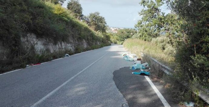 Provinciale Parghelia-Zungri in preda a rifiuti ed erbacce, il Comitato: «Si effettui la pulizia»