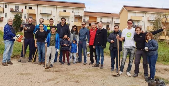 “Alberi per il futuro”, iniziativa verde dei cinquestelle a Vibo