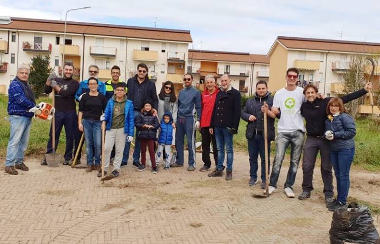 “Alberi per il futuro”, iniziativa verde dei cinquestelle a Vibo