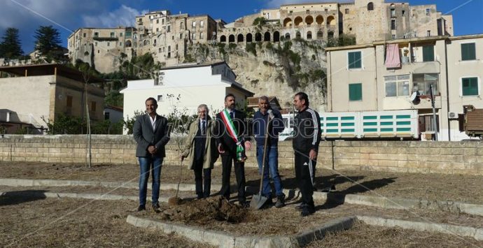 Tropea, dal Rotary quaranta piante per riqualificare un parcheggio abbandonato – Video