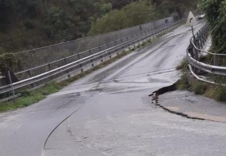 Maltempo nel Vibonese, frane e smottamenti in diversi centri – Video