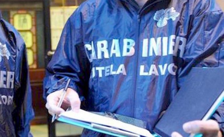 Lavoro nero in azienda boschiva di Fabrizia, maxi-sanzione e attività sospesa