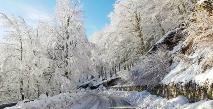 Neve nelle Serre e alberi divelti nell’Angitolano, si lavora per liberare le strade