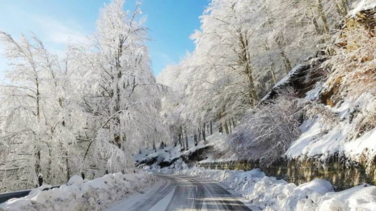 Neve nelle Serre e alberi divelti nell’Angitolano, si lavora per liberare le strade