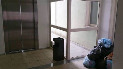 Topi al Centro per l’impiego di Vibo, uffici regolarmente al lavoro