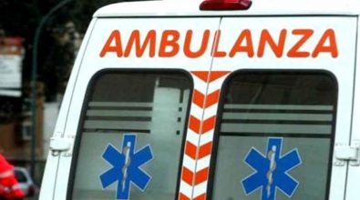 Tragedia a Reggio Calabria, uomo muore travolto da un albero