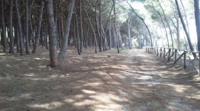 Legambiente vibonese chiama, il Comune di Pizzo Calabro risponde – Video