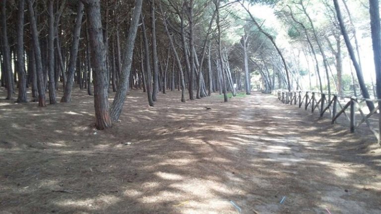 Legambiente vibonese chiama, il Comune di Pizzo Calabro risponde – Video