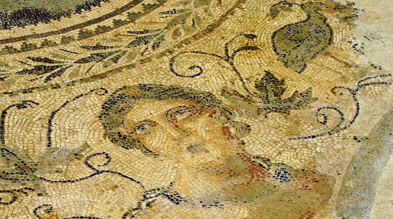Il mosaico romano di Sant'Aloe
