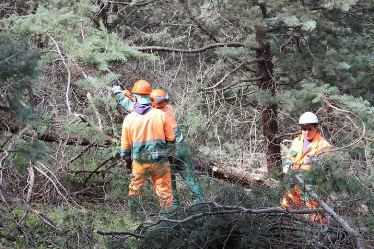 Cassa integrazione, levata di scudi contro il Consorzio di bonifica vibonese