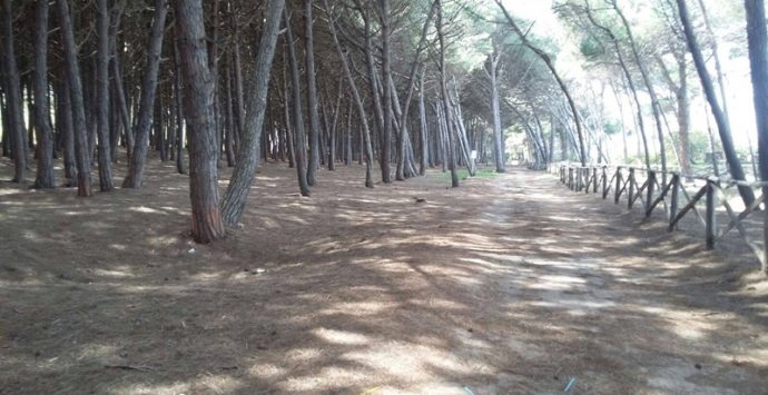 Dune dell’Angitola, enti e associazioni in campo per preservare un tesoro naturalistico