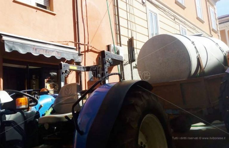 Emergenza idrica a Vibo, città in ginocchio: chiuse tutte le scuole – Video