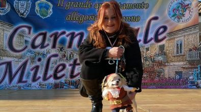 A Mileto anche i cani sfilano in maschera, il chihuahua disabile Hook si aggiudica il primo premio