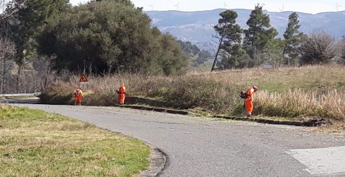 Ex Statale 110, avviata la pulizia delle aree verdi ai bordi delle strade