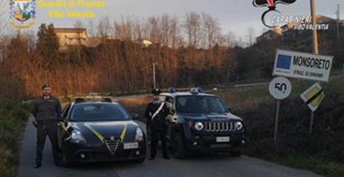 Carabinieri e Finanza in azione nel Vibonese, multe per trentamila euro