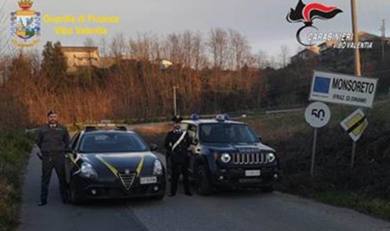 Carabinieri e Finanza in azione nel Vibonese, multe per trentamila euro