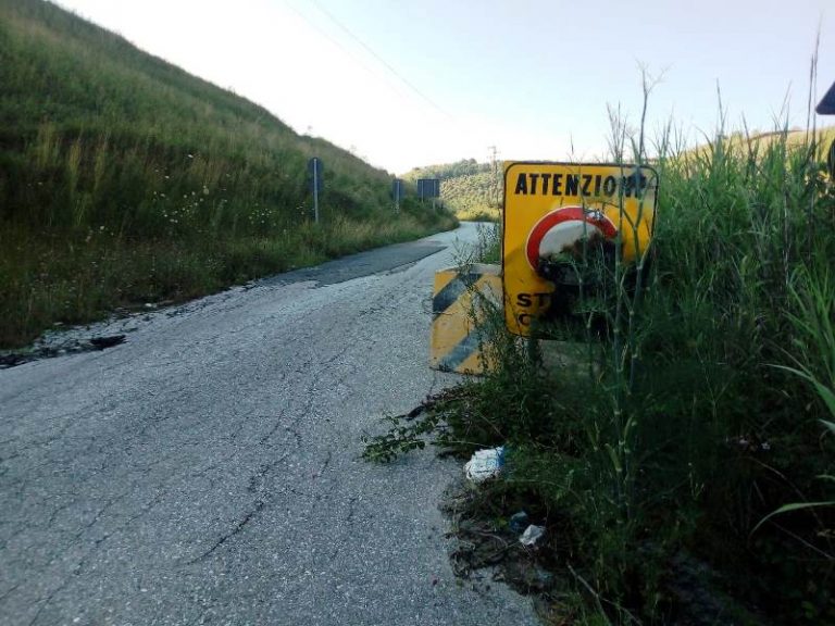 Mileto, migliaia di pellegrini  in arrivo per Natuzza verranno accolti dalla solita mulattiera