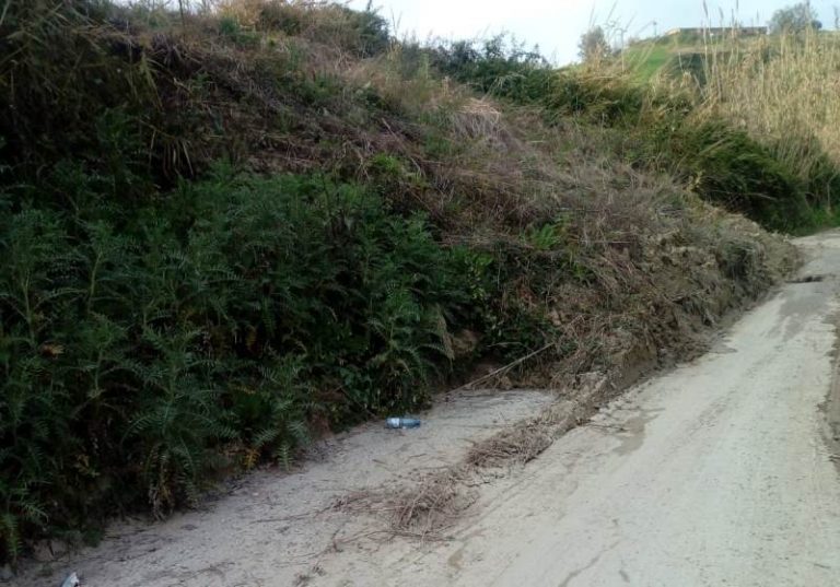 Strade invase da vegetazione, la Provincia corre ai ripari: stipulate due convenzioni