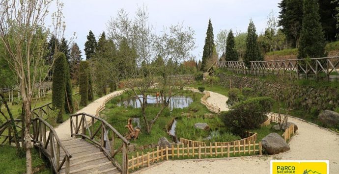 La biodiversità del Parco delle Serre in un libro del professore Siviglia