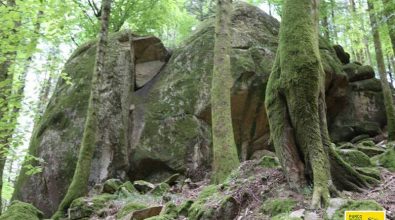 Parco delle Serre: progetto di educazione ambientale per gli studenti vibonesi