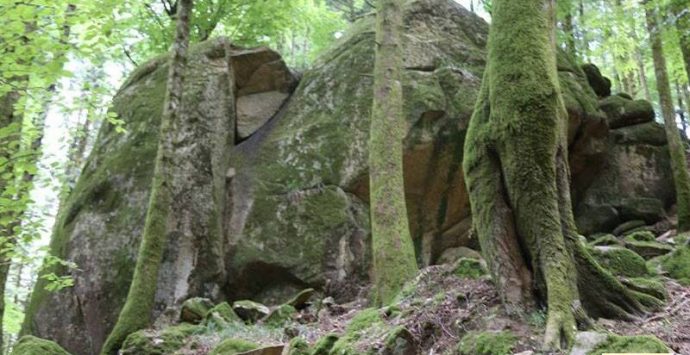 La natura in un “click”, il Parco delle Serre promuove un contest fotografico