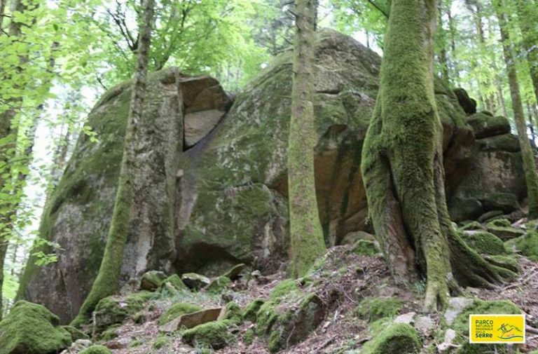 La natura in un “click”, il Parco delle Serre promuove un contest fotografico