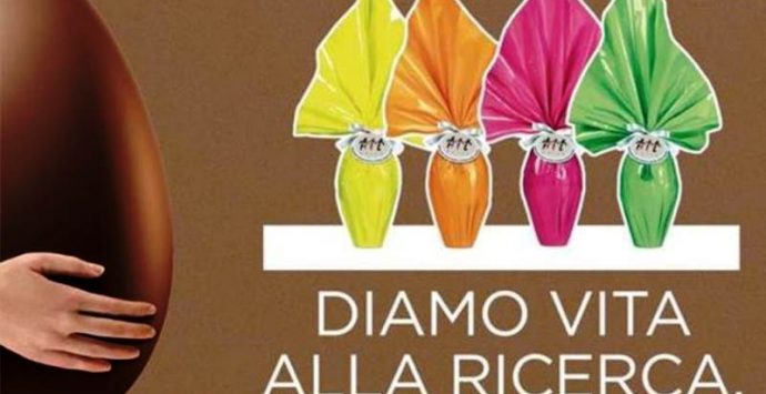 Fondi per la ricerca, tornano anche nel Vibonese le uova dell’Ail