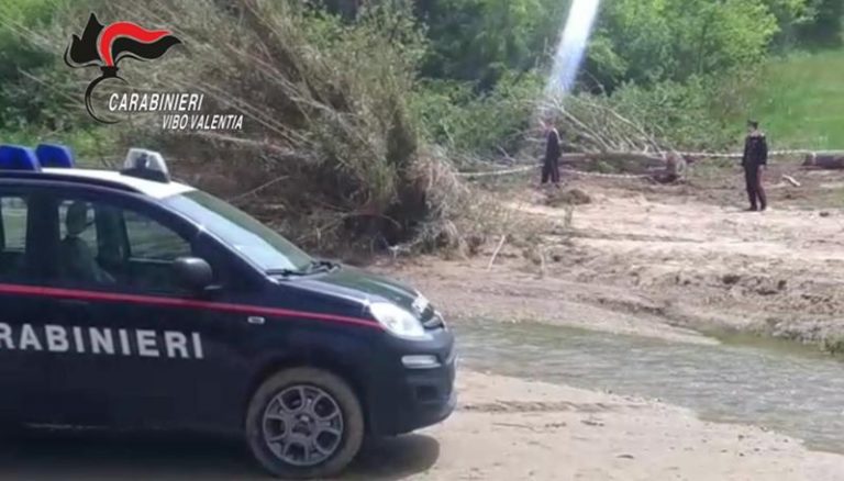 Tagliavano alberi vicino al lago Angitola, scoperti dai carabinieri