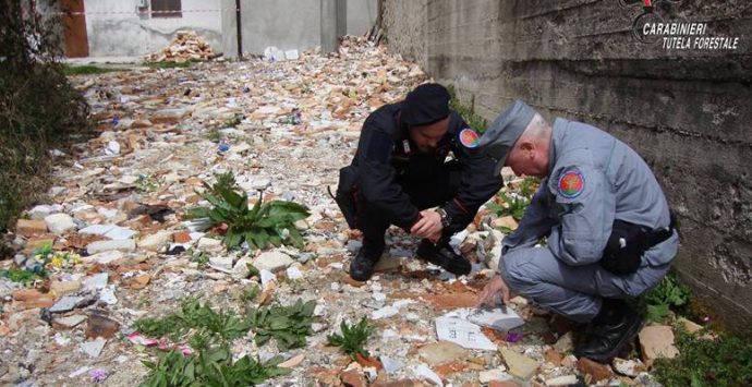 Nessuno smaltimento illecito di rifiuti: assolto ex priore Confraternita di Serra