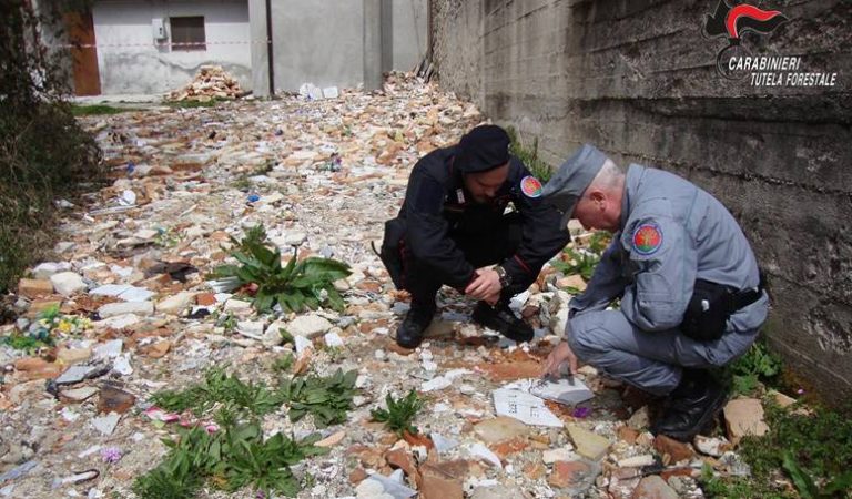 Vestiti e resti umani tra i rifiuti cimiteriali, denunciato priore di Serra San Bruno