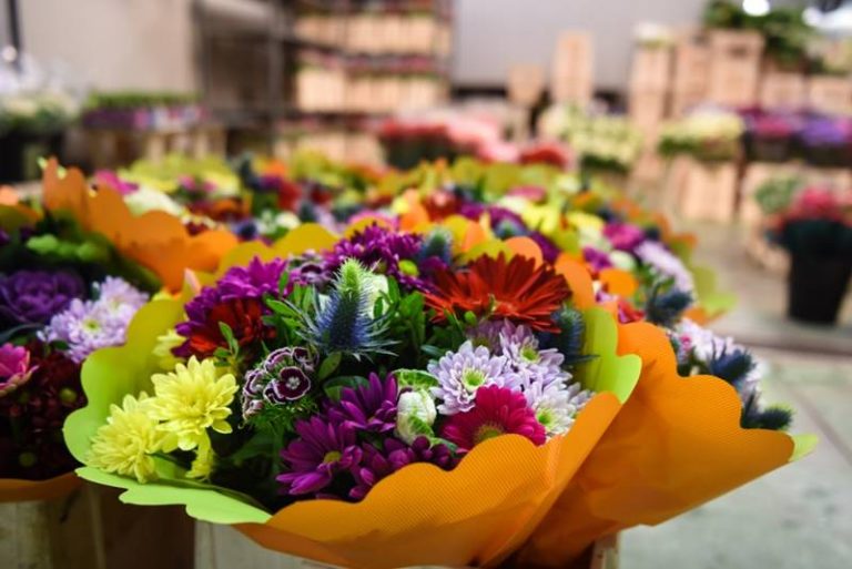 Vibo, in arrivo la terza edizione della “Fiera dei fiori”