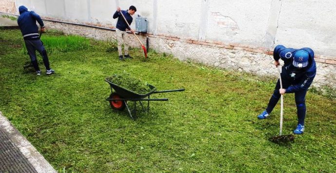 Paravati, i giovani ripuliscono le aree verdi del paese