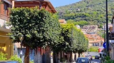 Ambiente, Vibo cambia registro su raccolta rifiuti e manutenzione verde