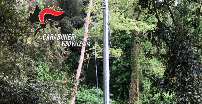 Scoperto a tagliare e rubare cavi elettrici, arrestato un 50enne