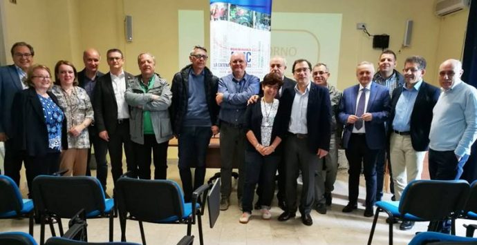 Medicina delle catastrofi, a Pizzo il corso sulla gestione del maxi-afflusso di feriti