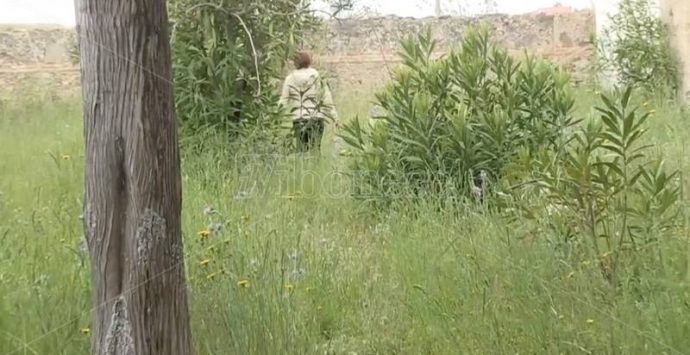 Vibo, cimitero nell’abbandono: cittadini infuriati – Video