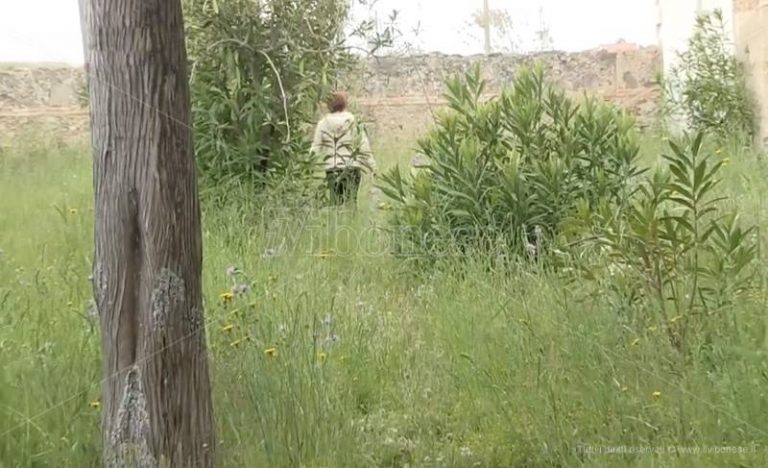 Vibo, cimitero nell’abbandono: cittadini infuriati – Video