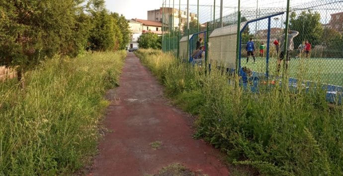 Campetto abbandonato a Mileto, la protesta di “New generation”: «Dal Comune totale disinteresse»