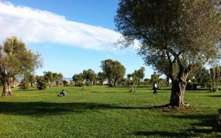 Al Parco Urbano di Vibo Valentia la festa della natura e degli alberi