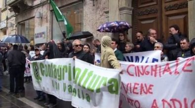 Emergenza cinghiali, gli agricoltori di Vibo pronti a una nuova mobilitazione