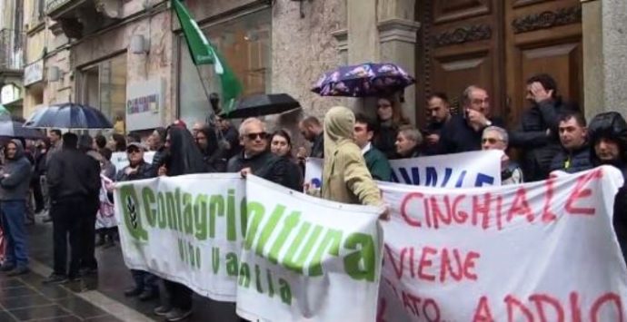 Emergenza cinghiali, la pioggia non ferma la protesta degli agricoltori – Video