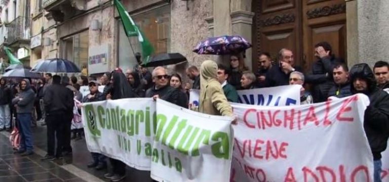 Emergenza cinghiali, la pioggia non ferma la protesta degli agricoltori – Video