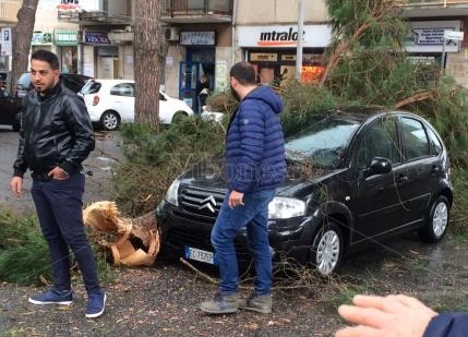 vibo ramo su auto 2