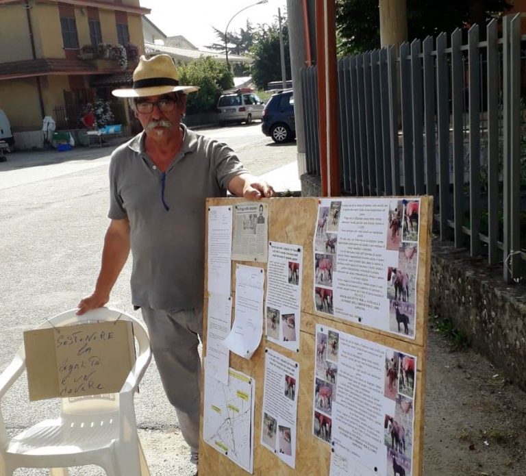 Gli rubano e uccidono 18 cavalli, protesta di un cittadino di Francica – Video