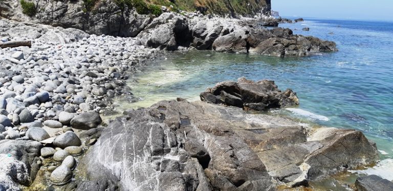 Mare “giallo”, nuove segnalazioni. Ma anche il Wwf conferma: è polline